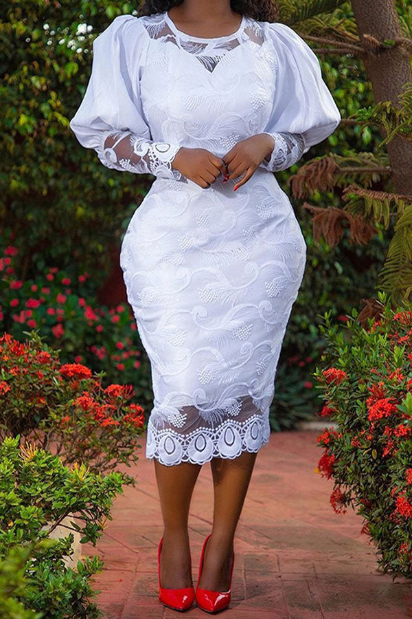 storexq Lace Feminine Zip Through Midi Dress