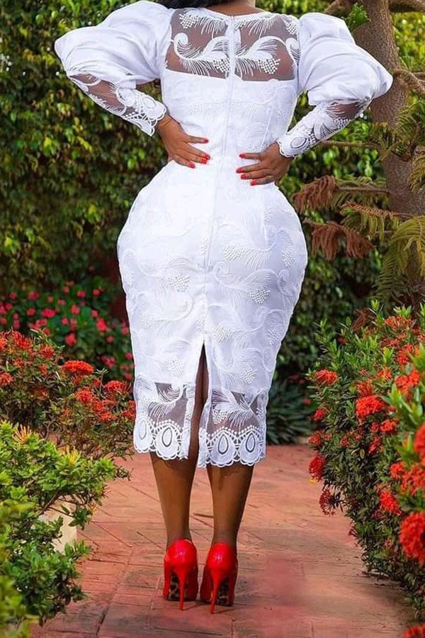 storexq Lace Feminine Zip Through Midi Dress