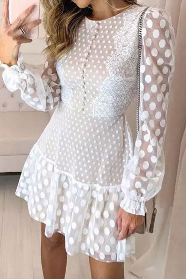 namcoverse Lace Elegant Ruffle Mini Dress