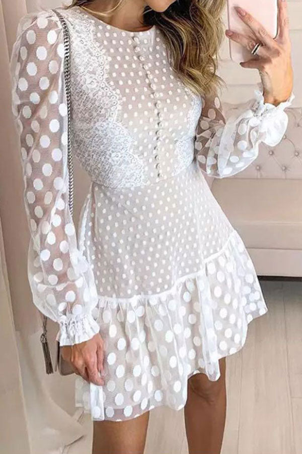 namcoverse Lace Elegant Ruffle Mini Dress