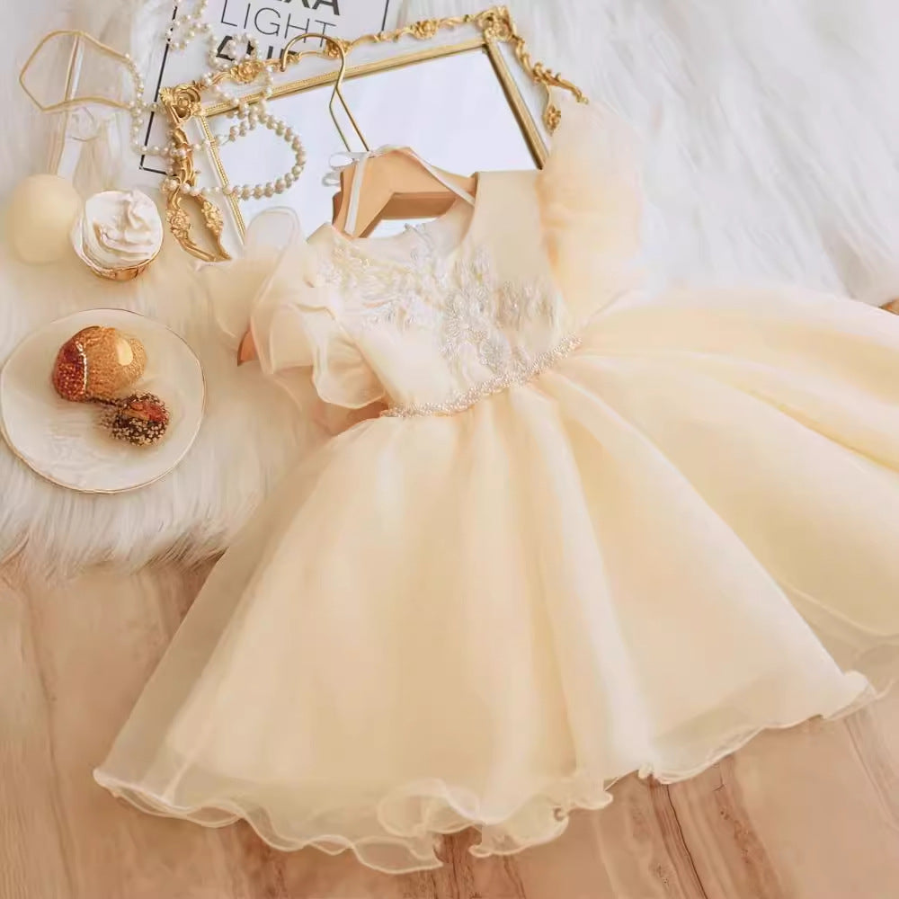 Champagne Girl's Dress Princess Dress Children's Wedding Dress Stage Costume Baby's One-Year-Old Banquet Dress