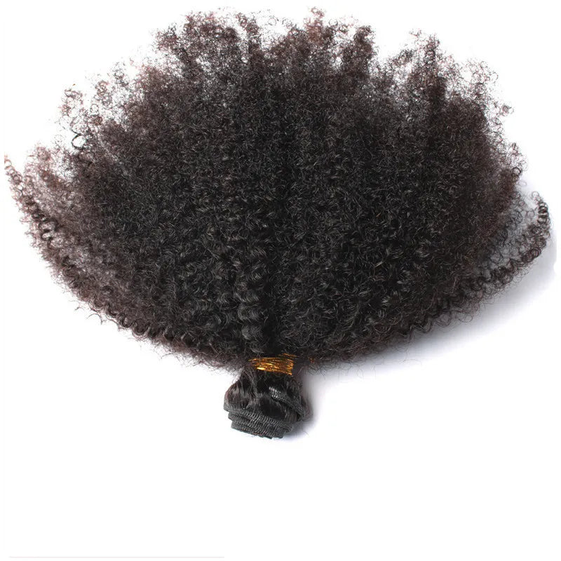 Brazilian Virgin Human Hair Afro Kinky Curly Wave Unprocessed Remy Hair Weaves Double Wefts 100g/Bundle 2bundle/lot Can be Dyed Bleached